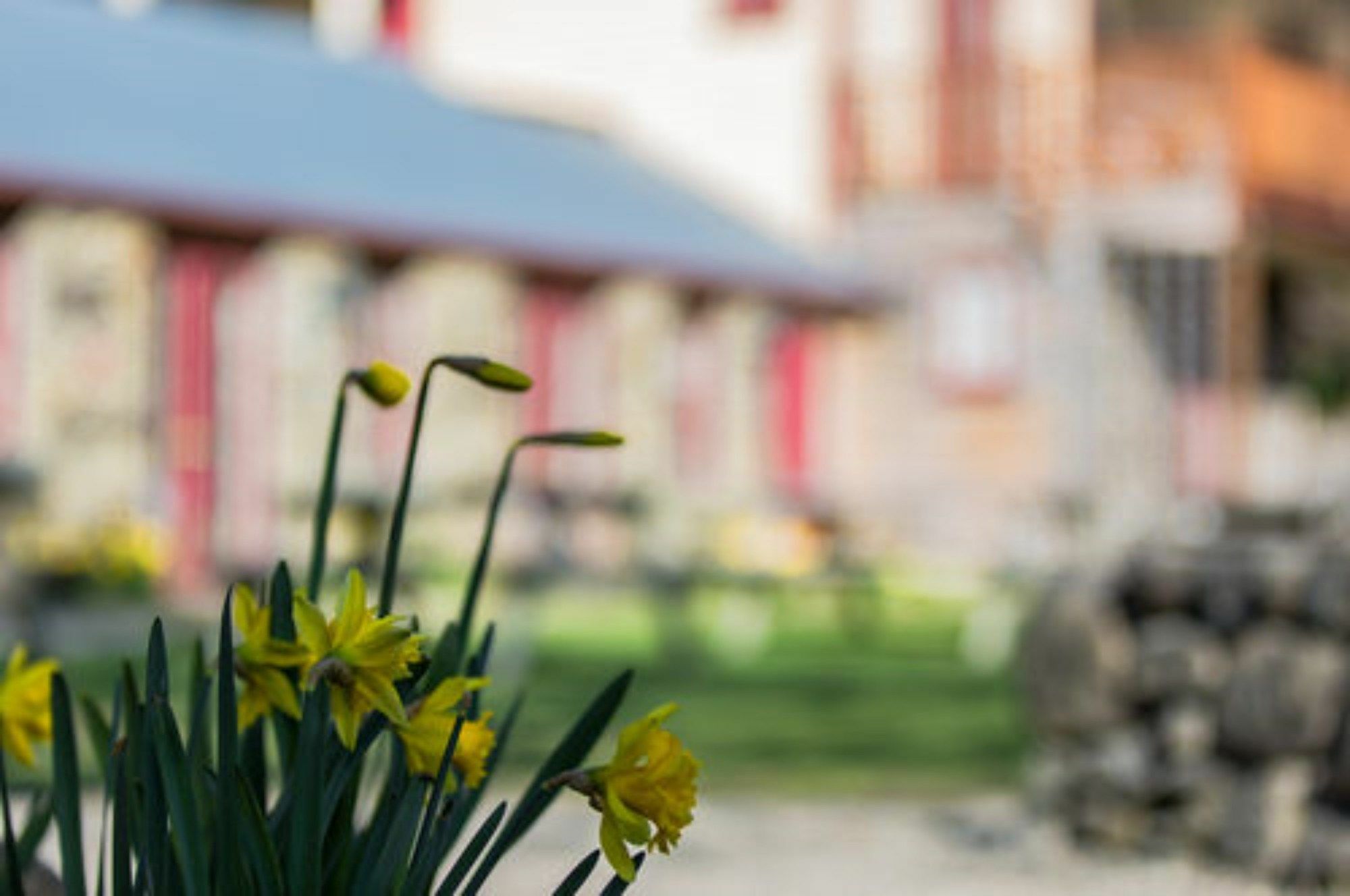 Cardrona Hotel Exterior photo